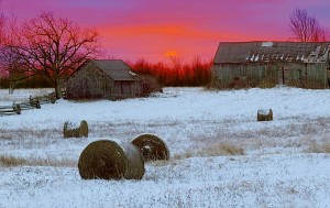 Barns in Winter Sunrise 02844-9
